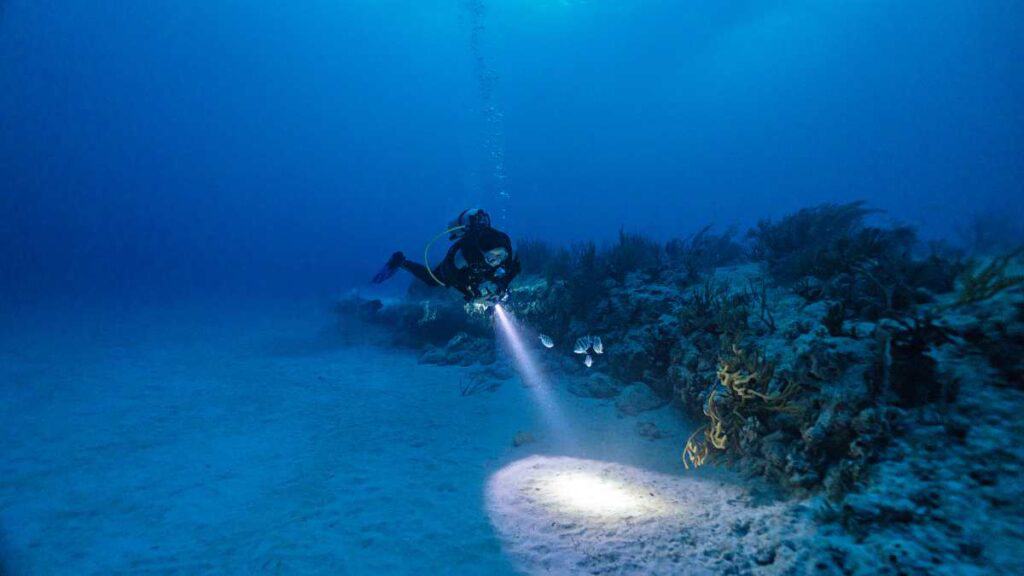 Lighting up the coral reef during a night time scuba dive from Lahaina near Kaanapali Beach
