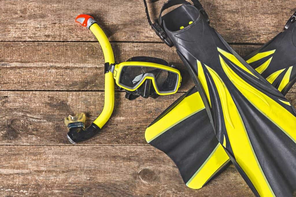 Basic snorkeling gear: mask, mouthpiece, fins